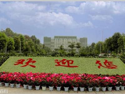 重庆城市管理职业学院五年制大专2020年排名