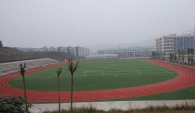 重庆市风景园林技工学校五年制大专足球场