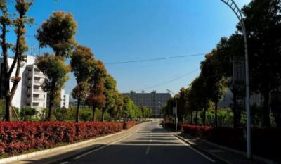 重庆市旅游学校五年制大专校园