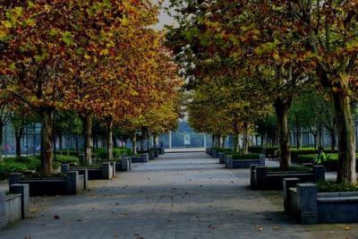 重庆市永川职业教育中心五年制大专校园