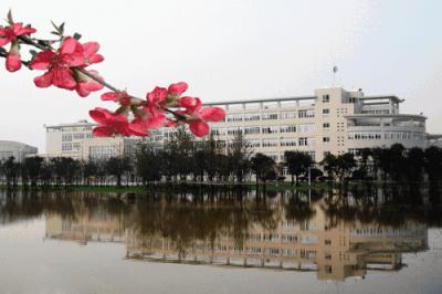 四川大学(龙泉校区)职业技术学院2020年招生录取分数线
