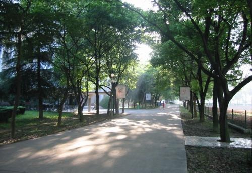 20201203153709127821.jpg 143.jpg