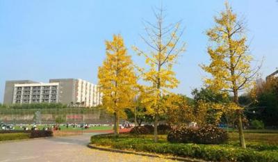 重庆医药高等专科学校校园