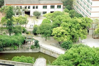 重庆科创职业学院2020年招生计划