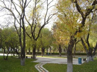 重庆传媒职业学院一角