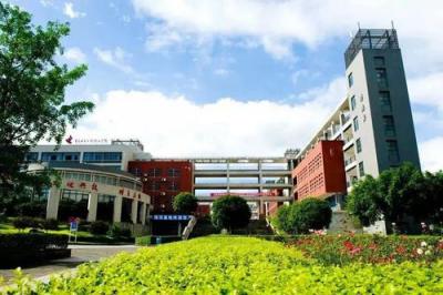 重庆电子工程职业学院2020年排名
