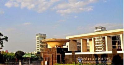 重庆电子工程职业学院是几专