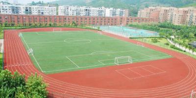 重庆机电职业技术大学足球场