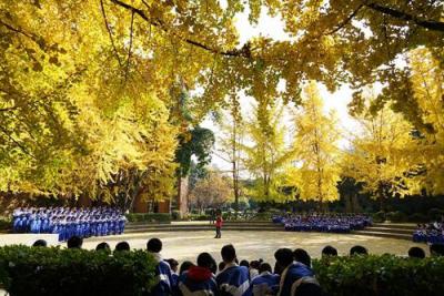 四川省成都华西中学2020年招生计划