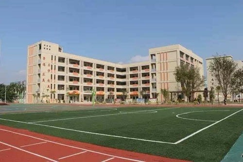 20201222093314891962.jpg 3.jpg