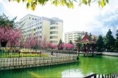 云南技师学院2020年招生计划