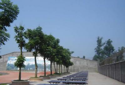 四川泸县第五中学2020年招生计划