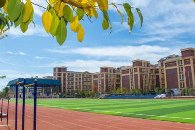 金岸中学足球场