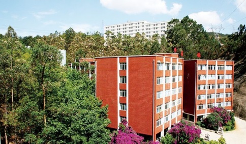 20201230134919708733.jpg 86.jpg