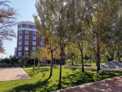 20210106145633777197.jpg 90.jpg