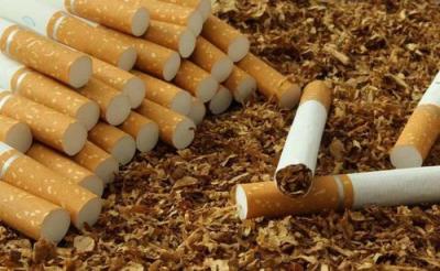 烟草生产与加工专业