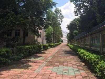 沿河土家族自治中等职业学校2020年有哪些专业