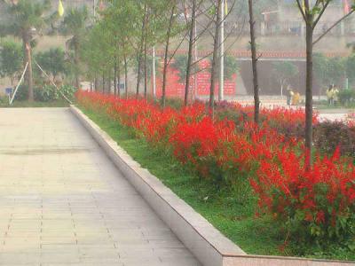 资中县第二中学校园一角