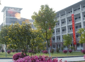 杭州市富阳区实验中学2020年排名