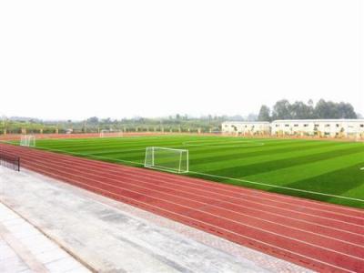 杭州市余杭文昌高级中学足球场