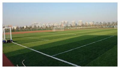 杭州市余杭区新理想高级中学足球场