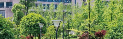 20210120100814858914.jpg 22222.jpg