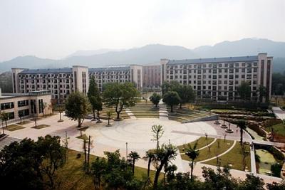 杭州外国语学校2020年招生录取分数线