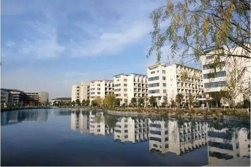 20210121091533653652.jpg 2.jpg