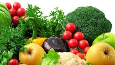 绿色食品生产与检验专业