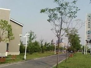 浙江旅游职业学院五年制大专2020年招生录取分数线