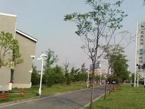 浙江旅游职业学院五年制大专2020年招生录取分数线