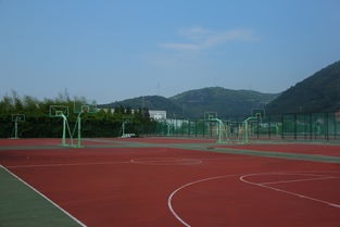 浙江旅游职业学院五年制大专篮球场