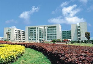 台州职业技术学院五年制大专2020年排名