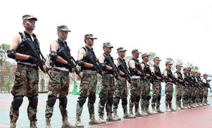 民航空中安全保卫专业