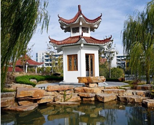 20210127110817400841.jpg 127.jpg