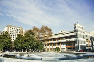 南京城市职业学院历年招生录取分数线