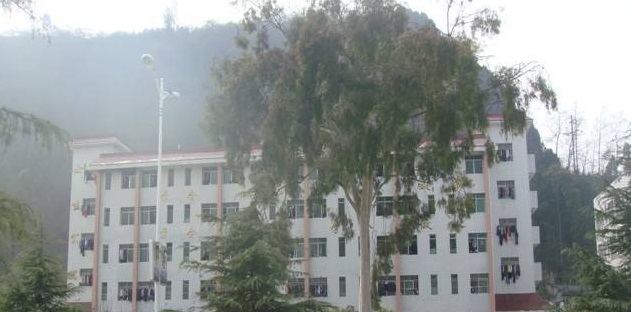 20210128135037678654.jpg 99.jpg