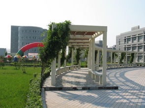 徐州工业职业技术学院2020年排名