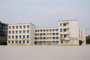 实验中学办公楼