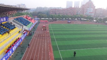 嘉陵校区运动会