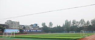 20210202161248101920.jpg 88.jpg