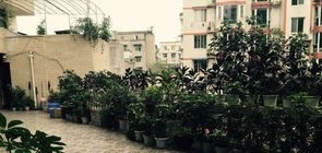 20210202161511218515.jpg 99.jpg