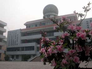 20210203112935924107.jpg 2222.jpg