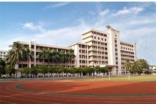 20210204183010213437.jpg 4.jpg