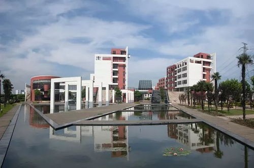 20210204184814116022.jpg 9.jpg