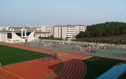 20210205153301981167.jpg 88.jpg