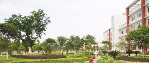 20210208164921602746.jpg 55.jpg