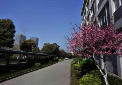硅湖职业技术学院2020年学费、收费多少