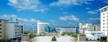 20210219165642152332.jpg 88.jpg