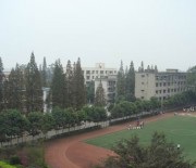 运动场